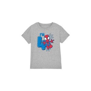 Spider-Man Childrens/Kids Cute Spidey 4th Birthday T-Shirt / Sport Heather